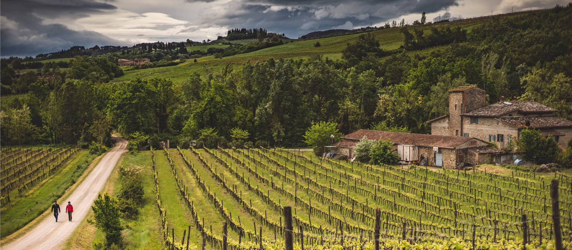 La Torre Tuscany Winery