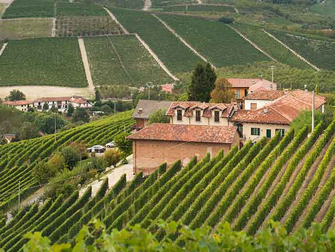 Ada Nada Wine Italy