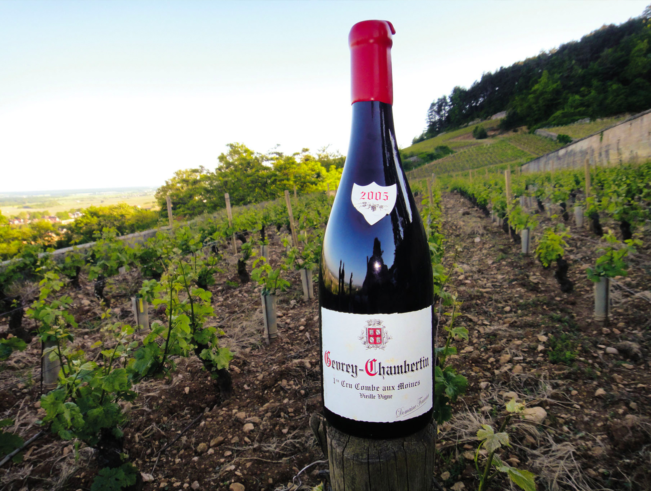 Domaine Fourrier French Wines