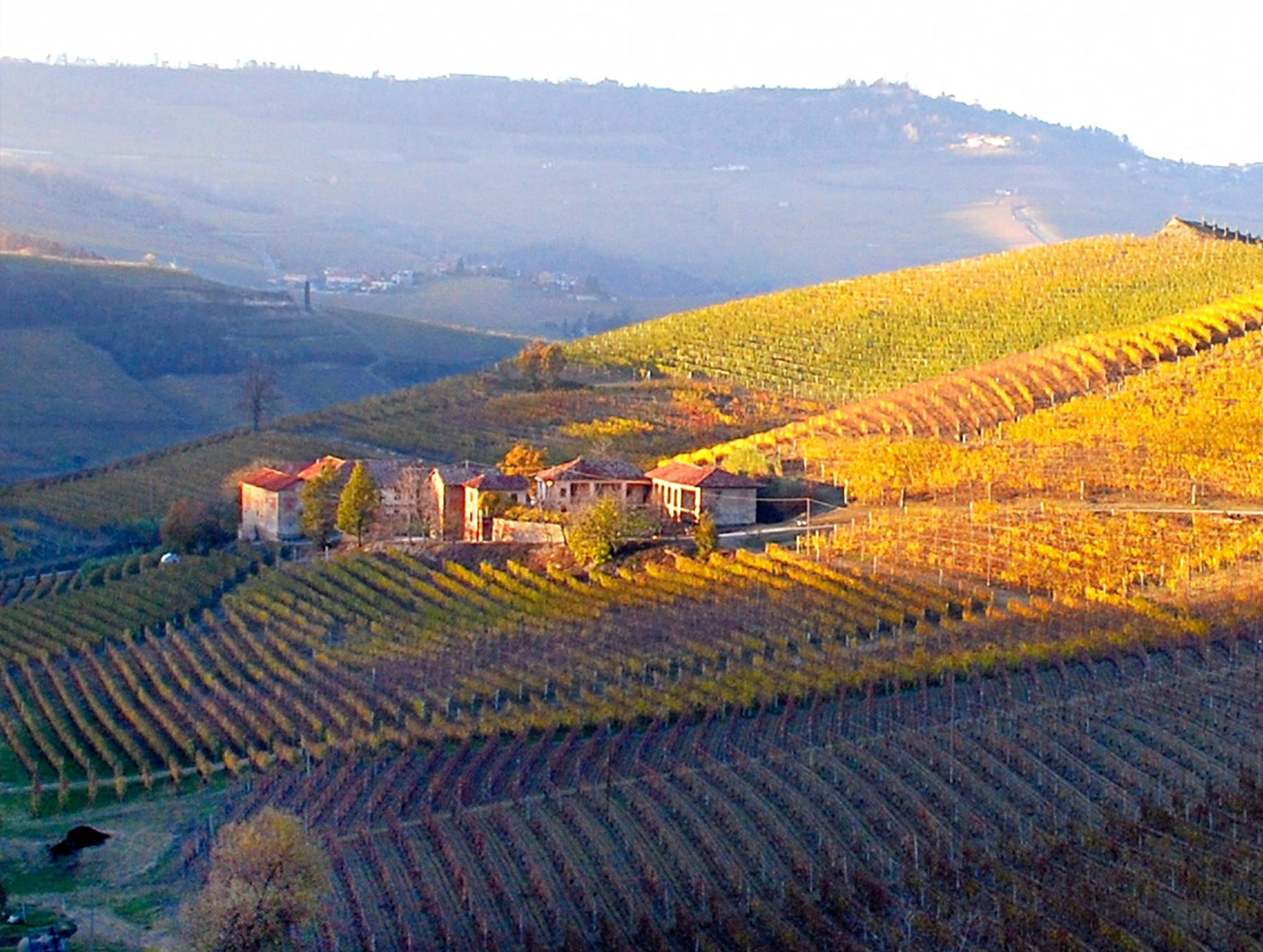 Poderi Colla Italian Wines