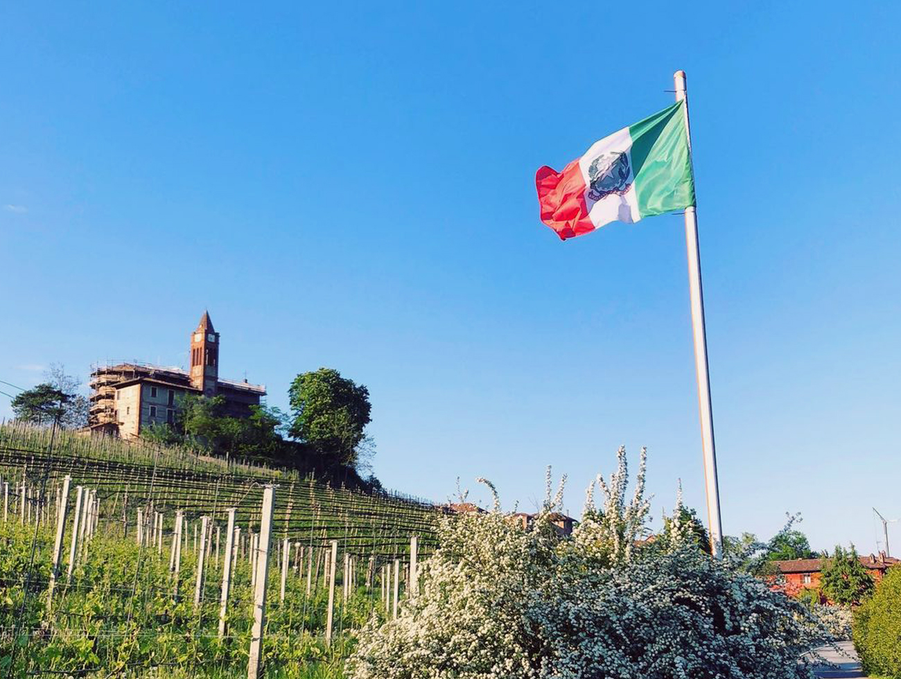 Poderi e Cantine Oddero Italian Wines