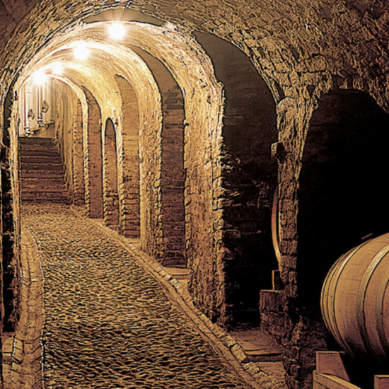 Cantina del Glicine Wines