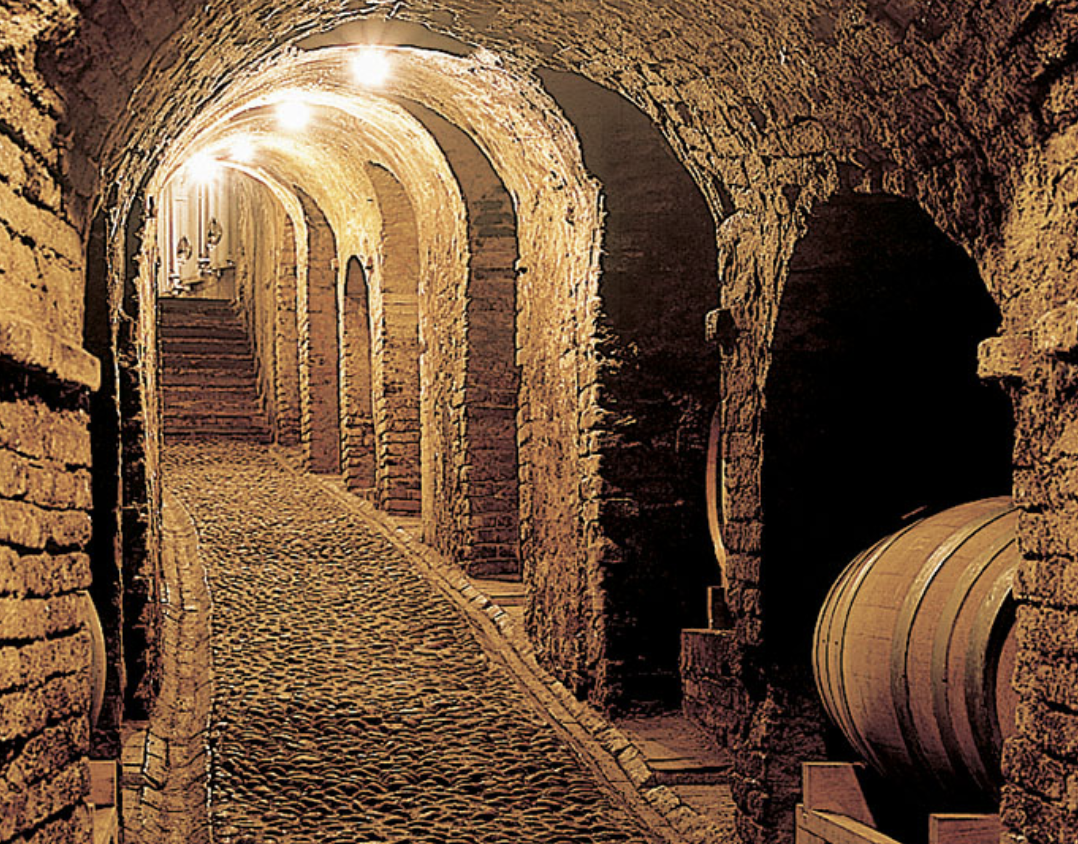 Cantina del Glicine Wines